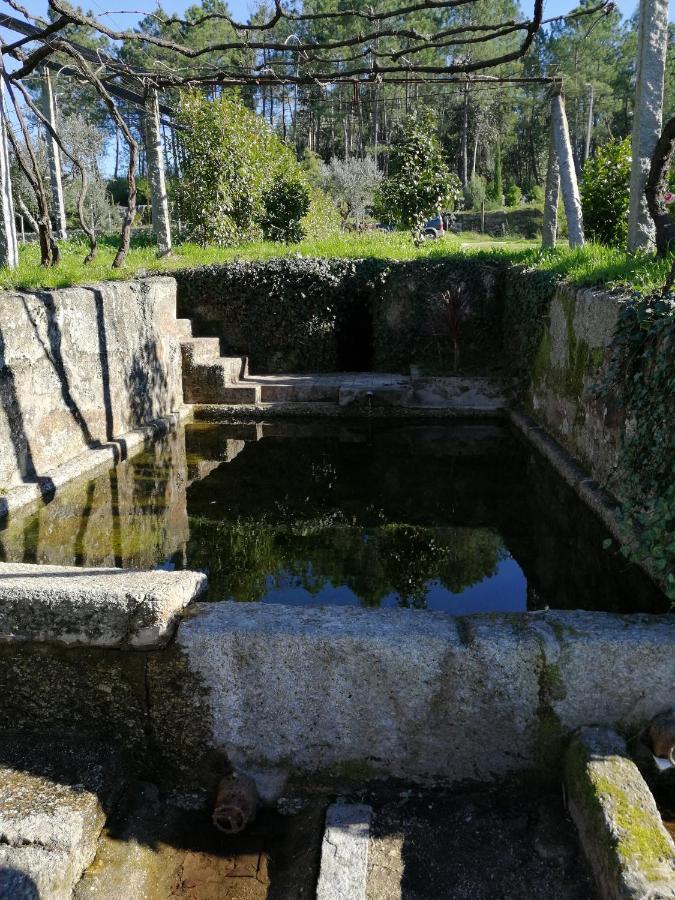Villa Quinta Do Santinho à Amarante Extérieur photo