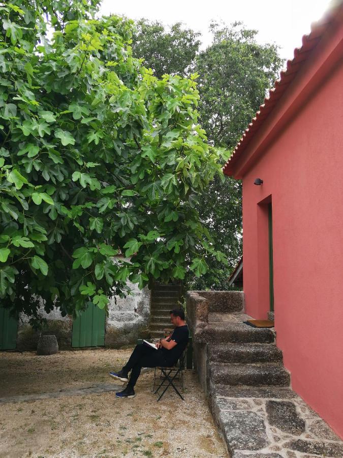 Villa Quinta Do Santinho à Amarante Extérieur photo
