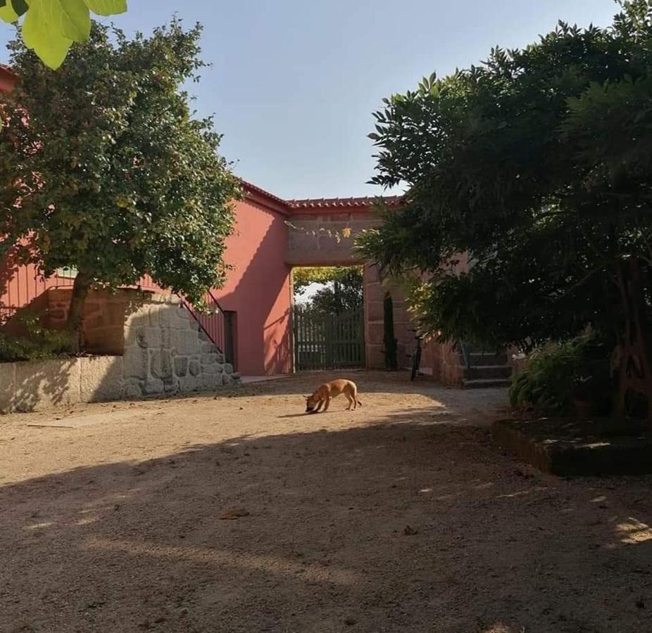 Villa Quinta Do Santinho à Amarante Extérieur photo