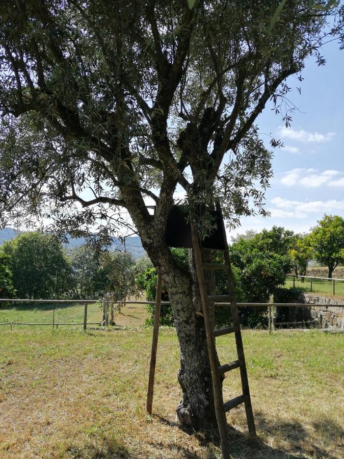 Villa Quinta Do Santinho à Amarante Extérieur photo